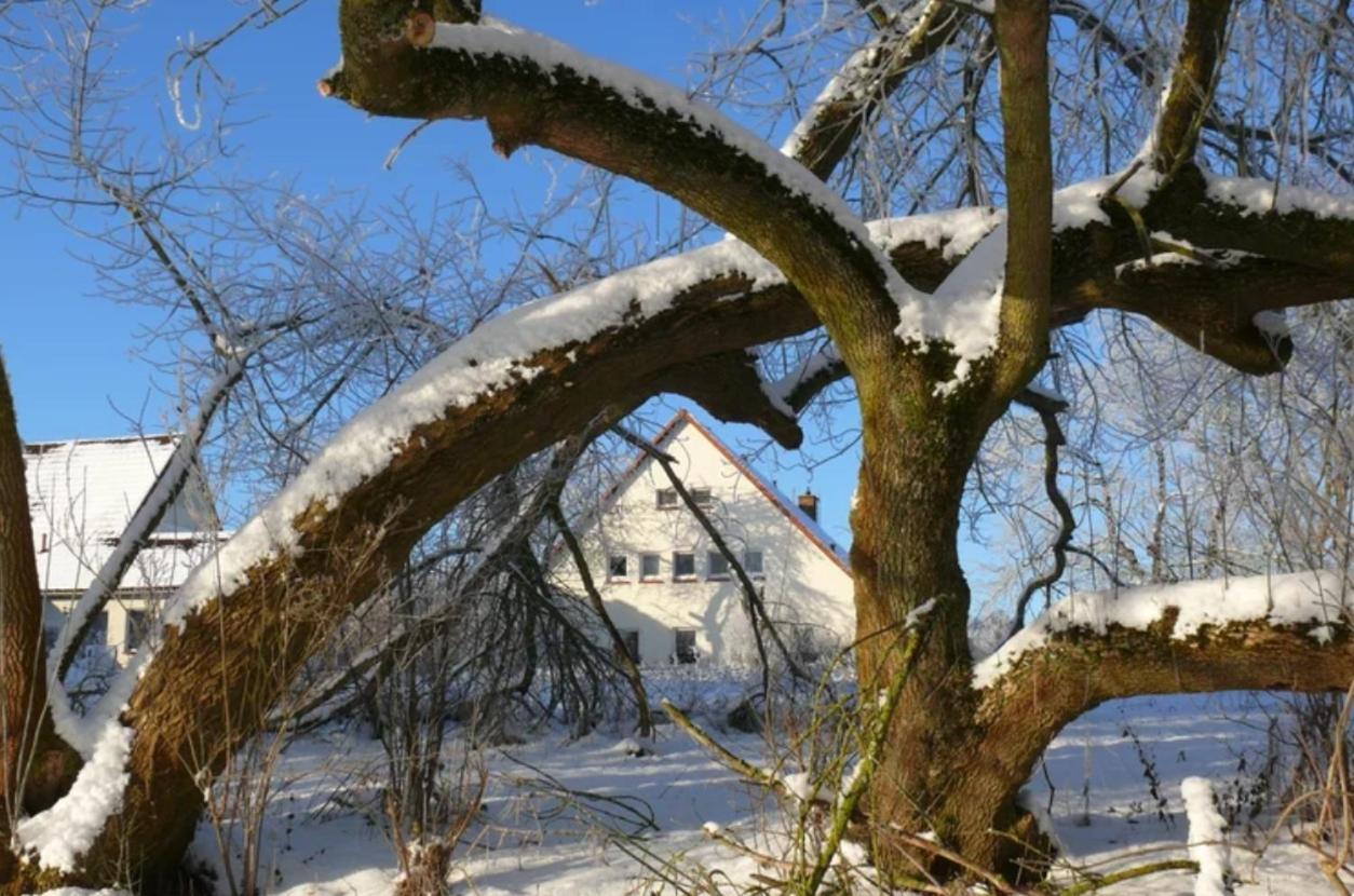 Kulturgutleben Boutiquehotel Seminarhaus Mollenbeck Eksteriør bilde